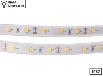 Taśma LED 2835 SMD300 55W-11W/1m 12V IP67 4000K 300lm/1m rolka 5m