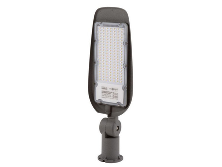 Lampa uliczna 100W 6500K 11000lm szara IP65 PREMIUM LINE